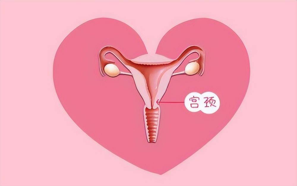 苹果6有全网通版吗吗:子宫“干净”的女性，大都有6种行为，不妨看看你有吗？