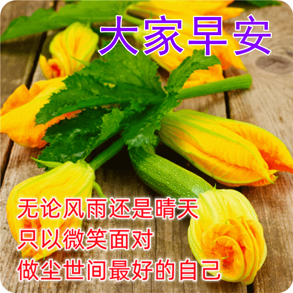 苹果版表情包图片
:3月2日最新版早上好问候漂亮动态祝福图片，早上好祝福动态表情美图