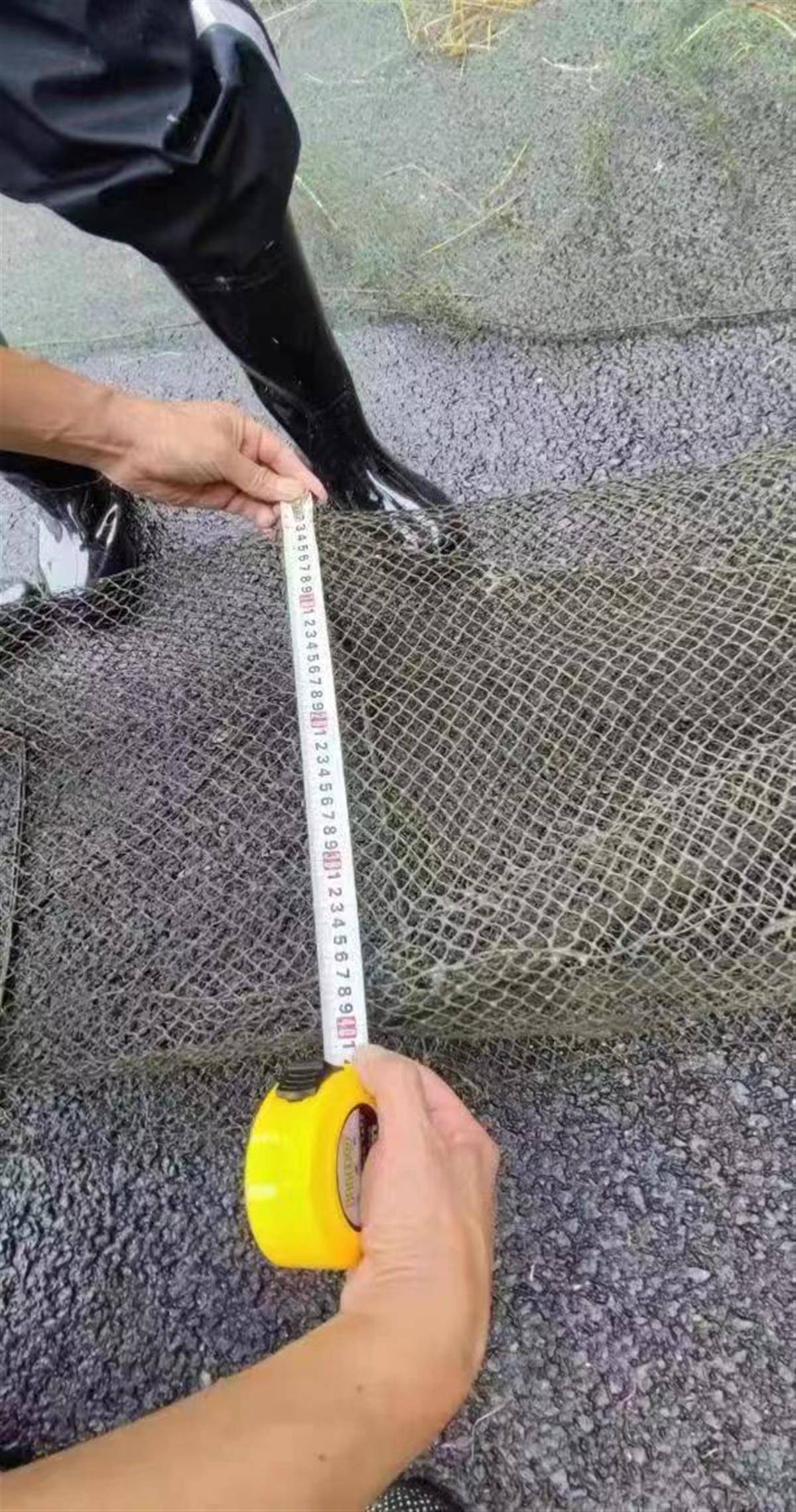 苹果版捕现金捕鱼
:村民在长江禁渔期内仍使用“地笼网”捕鱼，法院：判处拘役并进行生态修复