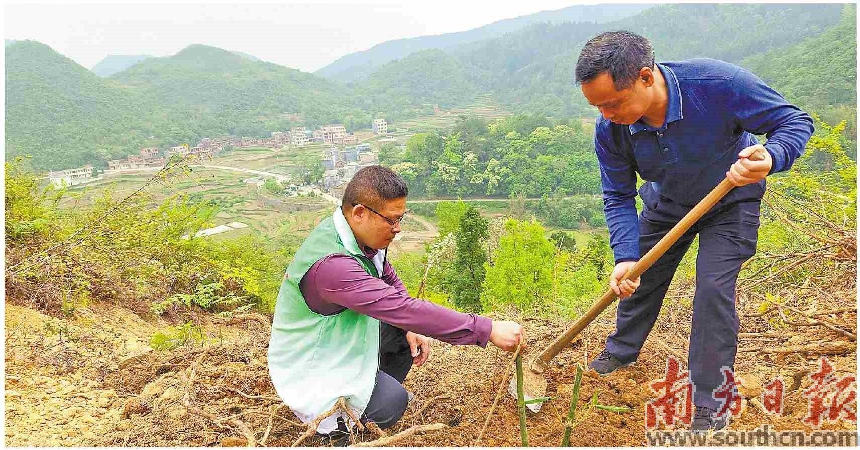 手机解锁密码:麻竹解锁东上村 产业振兴“密码”