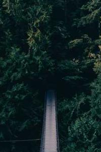 苹果手机版游戏助手