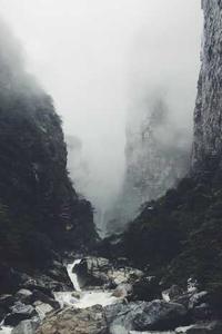 雾雨之森手机版