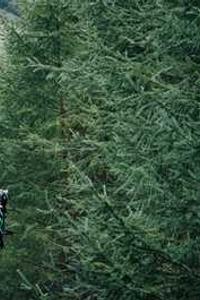 淘客助手手机版-第4张图片-太平洋在线下载 淘客助手手机版-第4张图片-太平洋在线下载