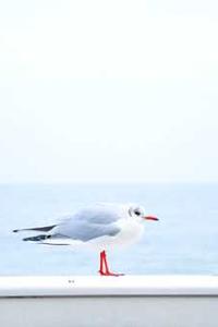 易收盈苹果版