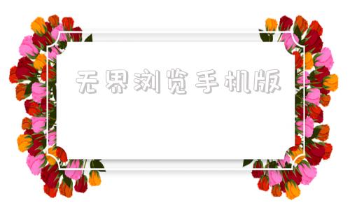 无界浏览手机版无限制访问国外的手机浏览器