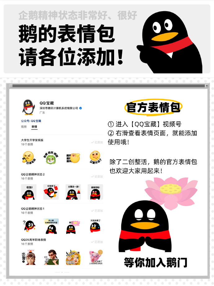 qq宠物下载手机版苹果版电脑宠物怎么弄出来2024最新版本