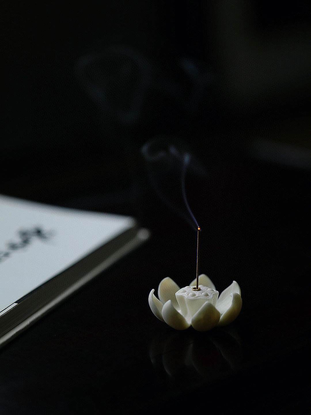 莲花心app苹果版苹果app有哪些直播软件