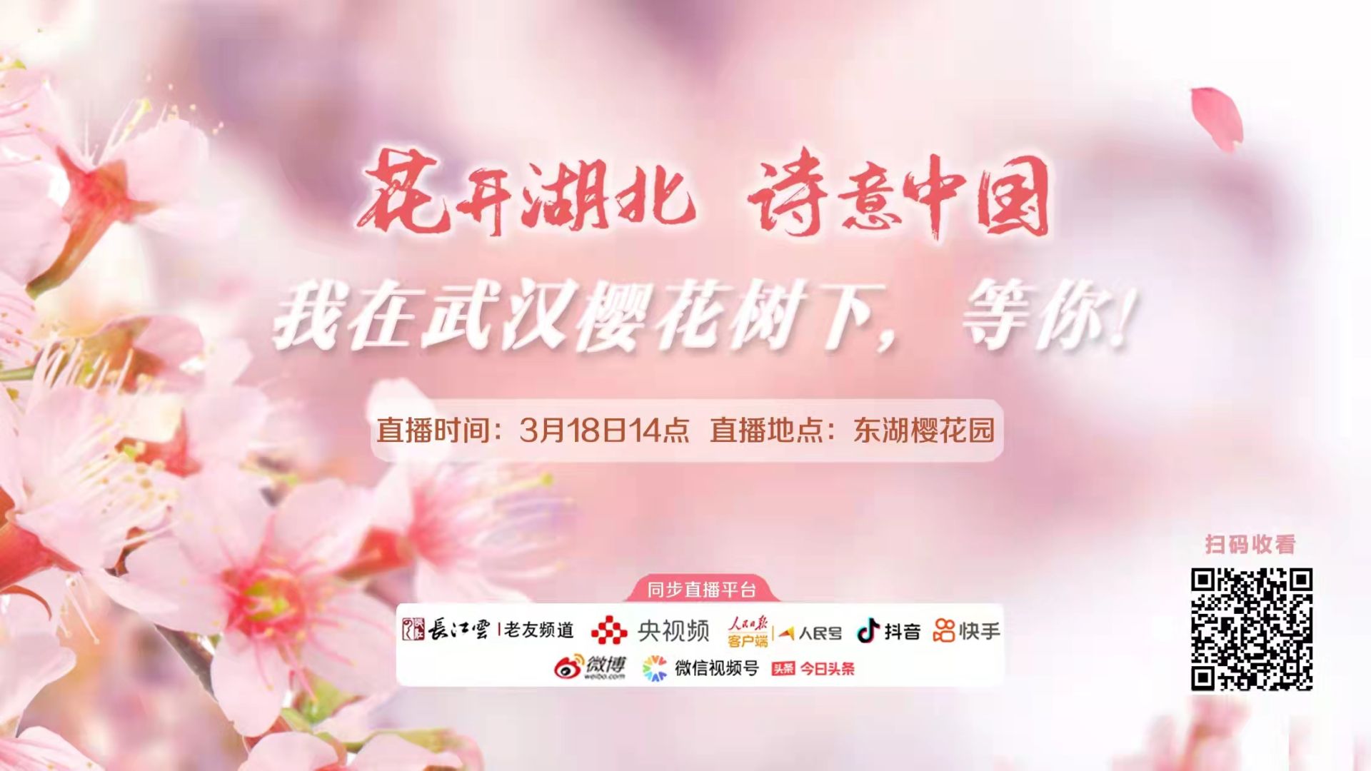 樱花l直播苹果版樱花直播苹果怎么安装-第2张图片-太平洋在线下载