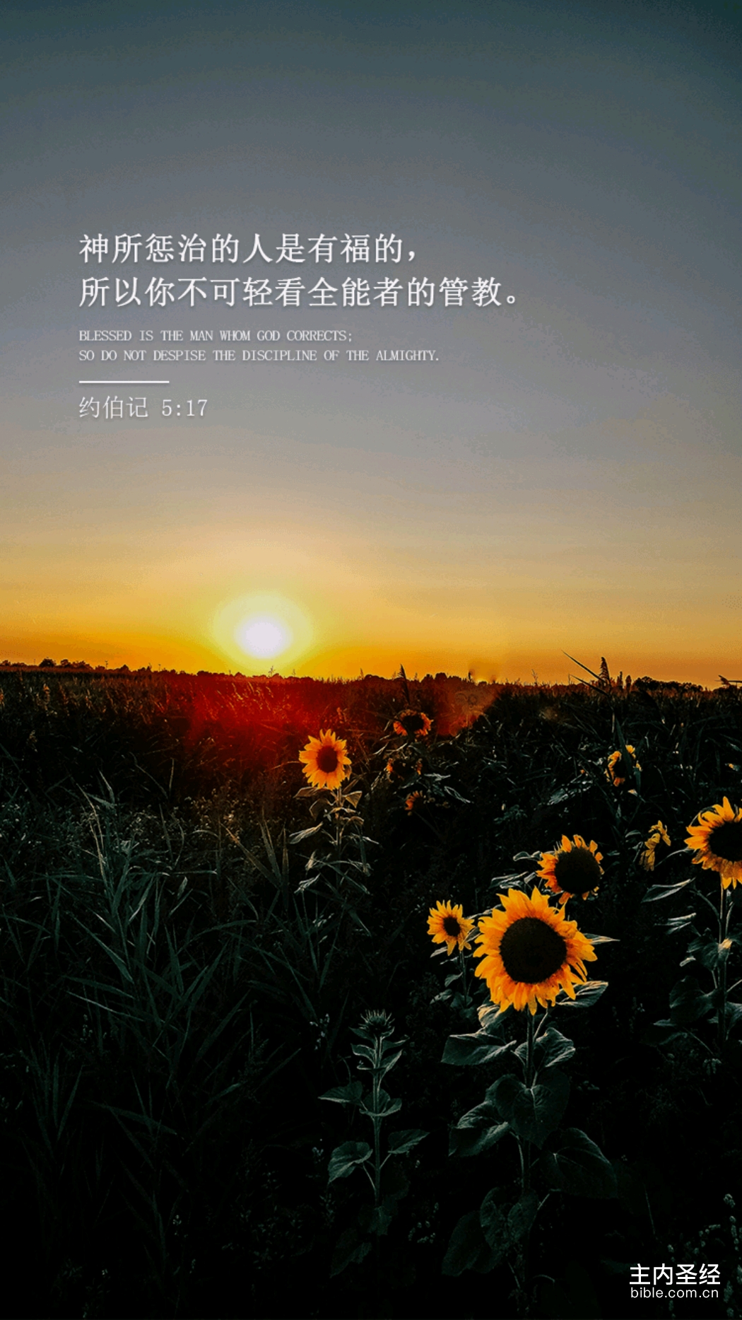 主内圣经苹果版苹果在圣经的隐喻