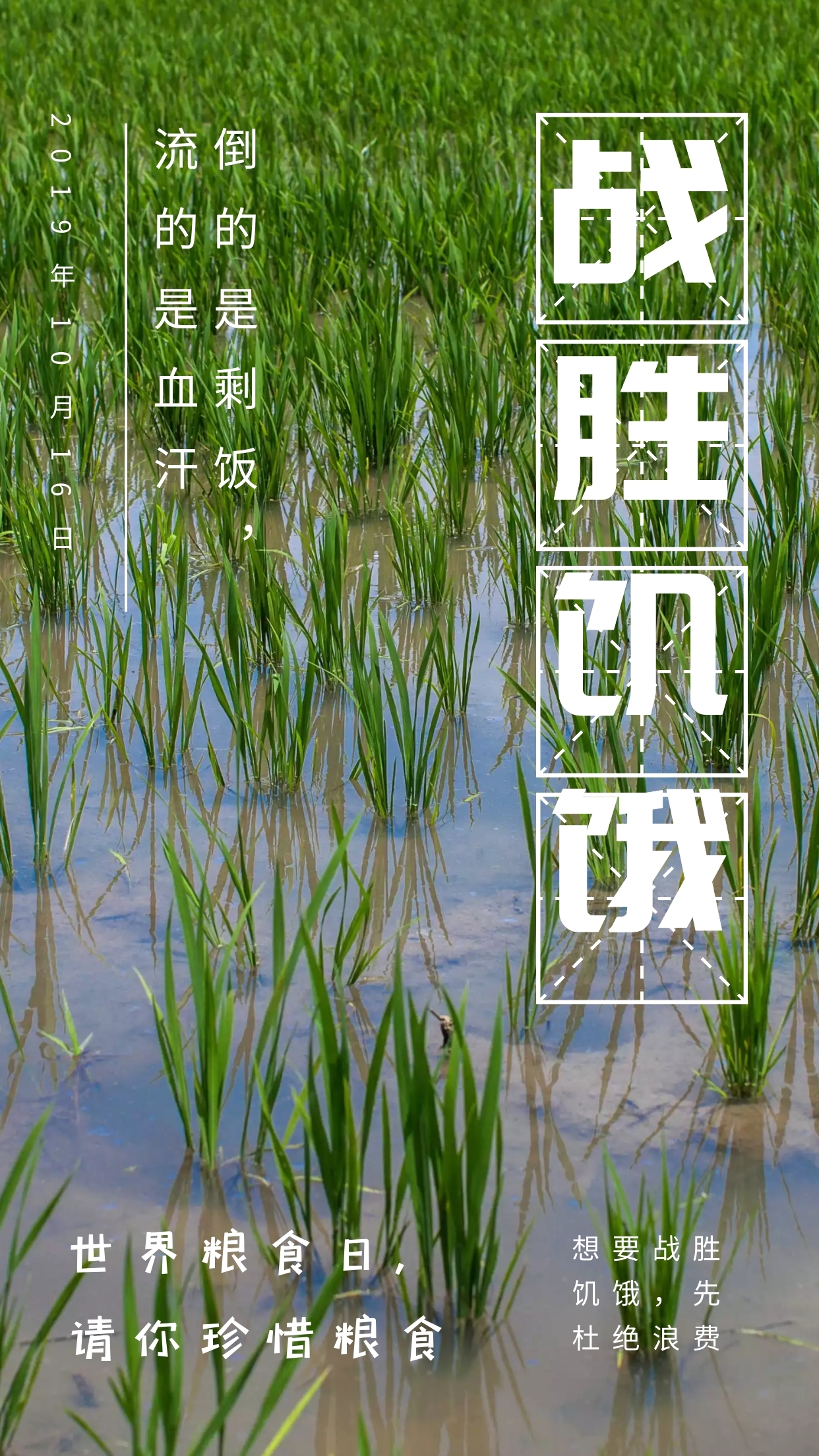 粮食巴巴手机客户端粮达网app下载官网-第2张图片-太平洋在线下载