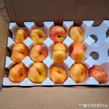 趣歩苹果版下载租号玩苹果版下载
