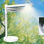 野光源安卓版野光源台灯到底好不好
