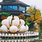 手机版移动拈花网拈花星闻娱乐社会手机移动版