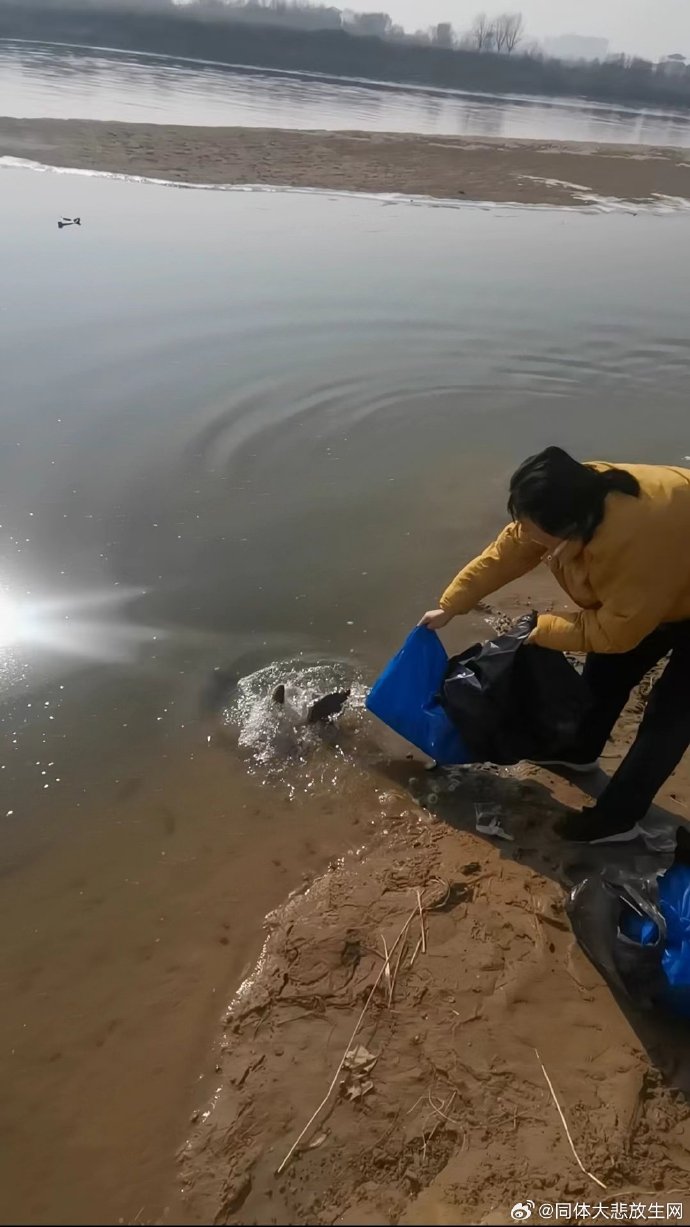 手机版放生放生的必念口诀