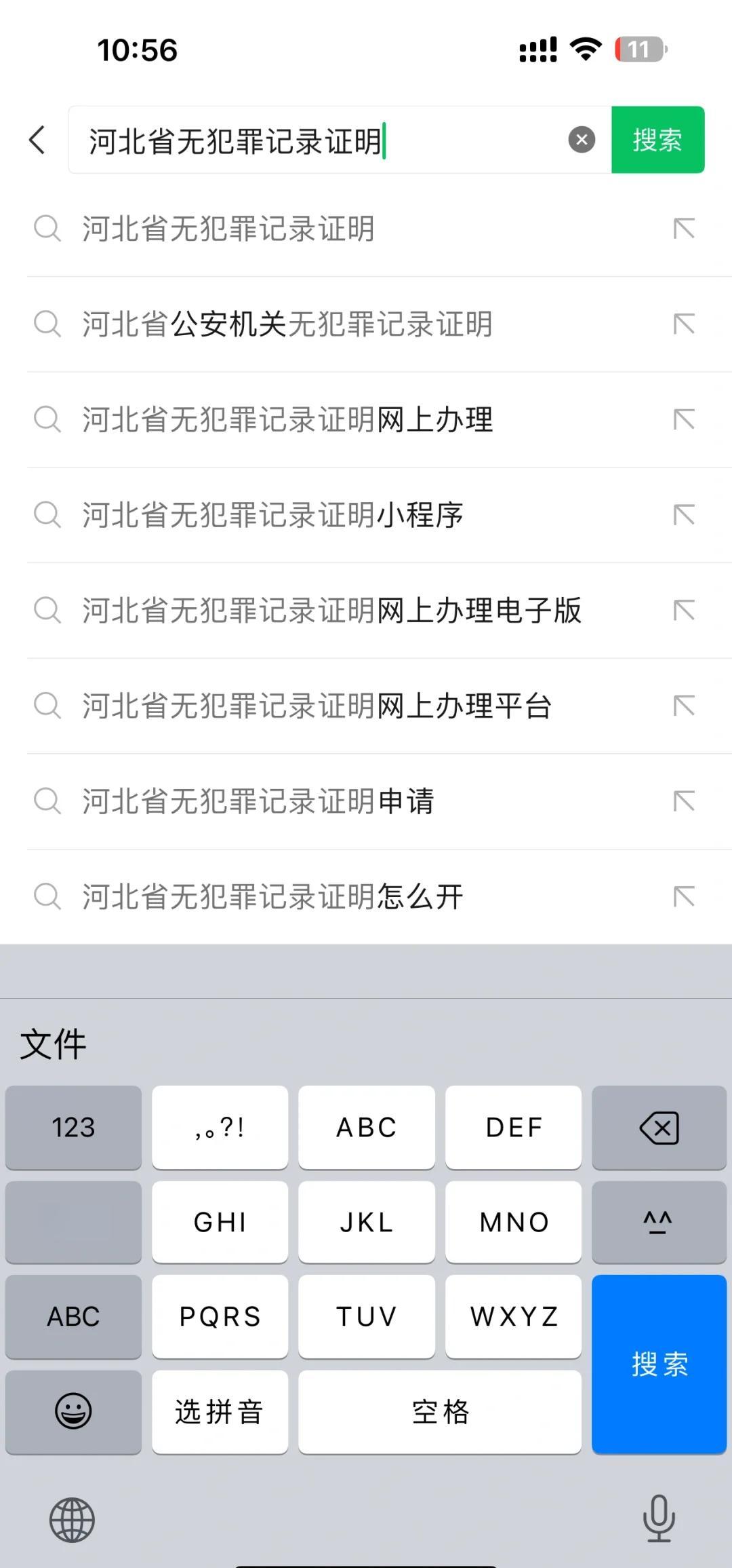 河北违章查询手机版全国统一违章查询平台-第2张图片-太平洋在线下载