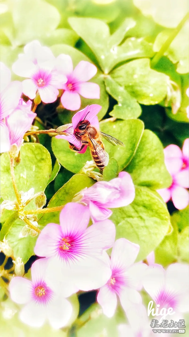 米都社区手机版(米都传媒有限公司)-第5张图片-QuickQ官网