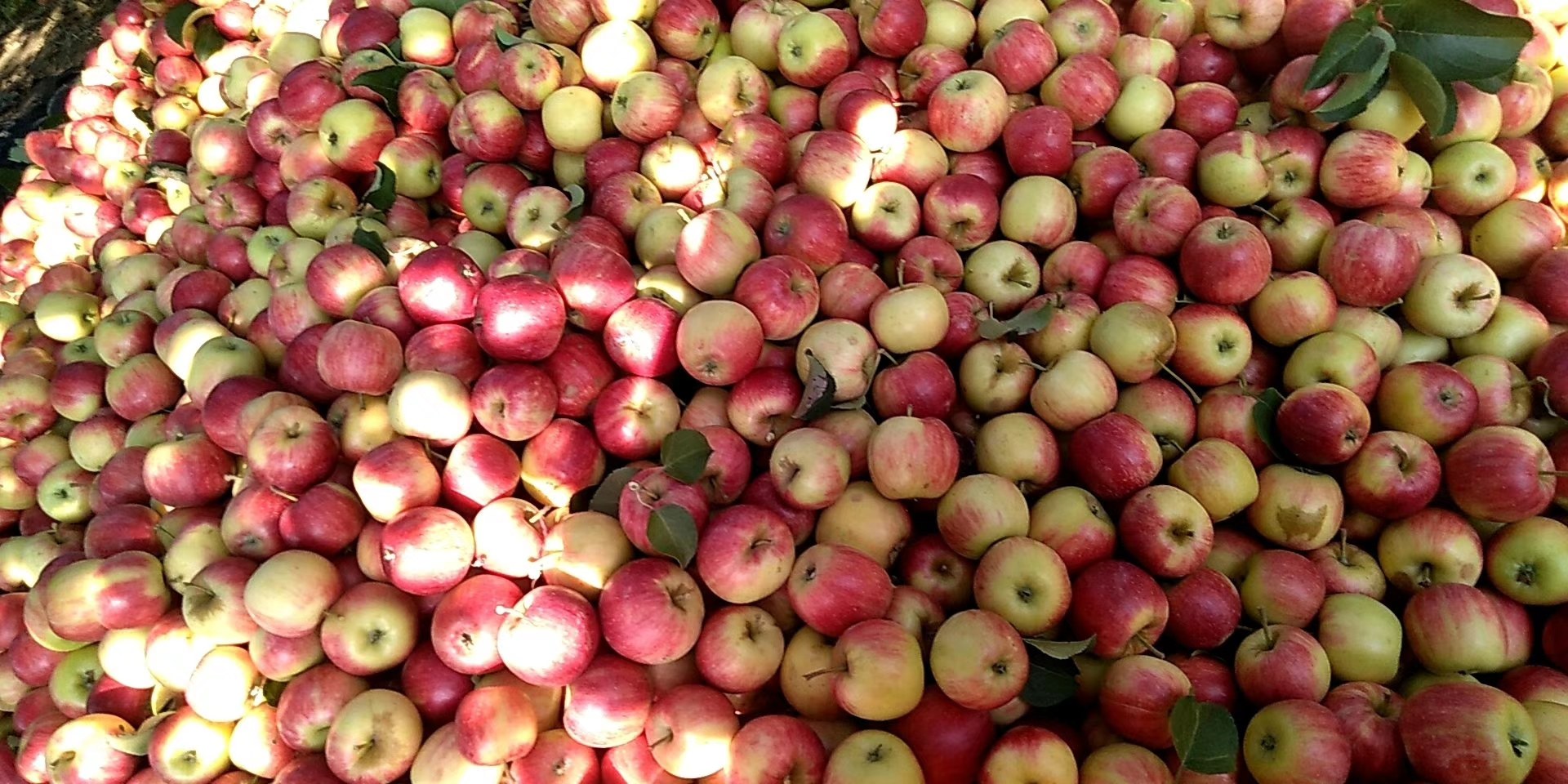 邢台123苹果版(邢台123改版后交友)-第5张图片-QuickQ官网