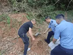 金山卫士手机版动物(手机金山卫士官方下载)