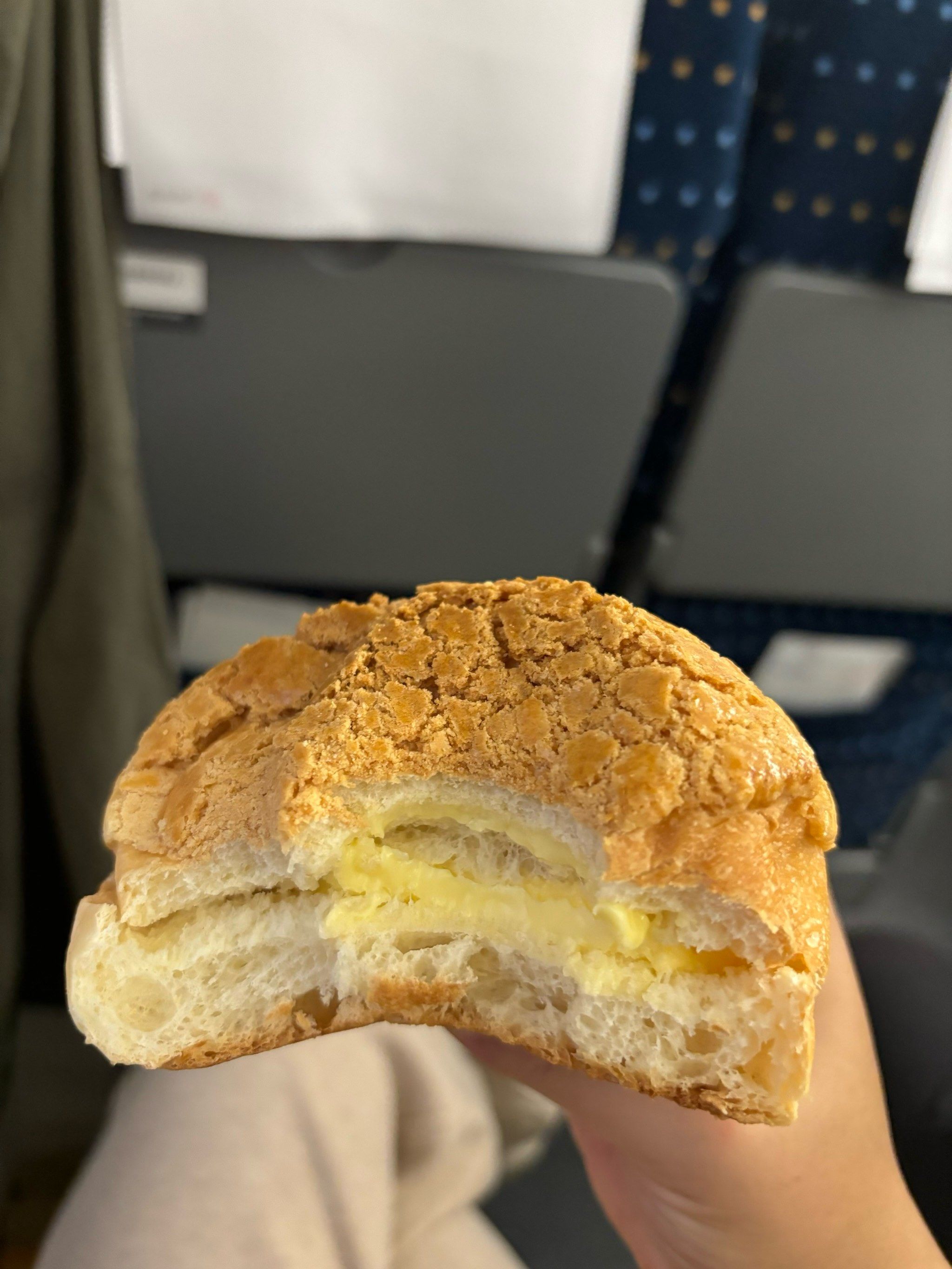 菠萝包手机版(菠萝包是什么软件)