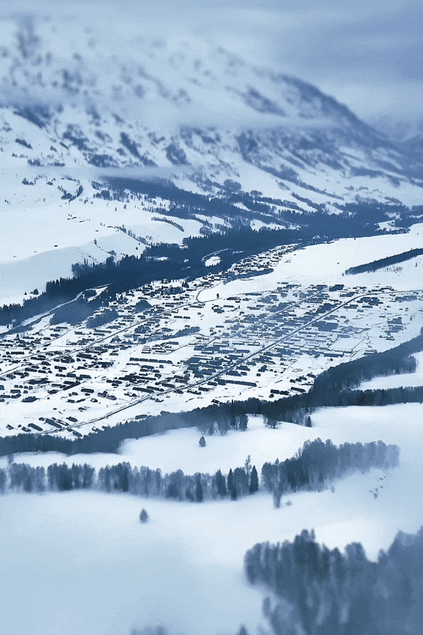 手机版动态壁纸哪个好(手机动态壁纸哪款软件好用)-第2张图片-QuickQ官网